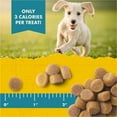 thumbnail image 6 of Zuke's Puppy Naturals Dog Training Treats, Salmon & Chickpea Recipe, Tender Chews, 5 oz Pouch, 6 of 11
