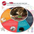 thumbnail image 3 of SPOT Catnip Stick with Feathers Toys for Cats 12-Inches, 3 of 3