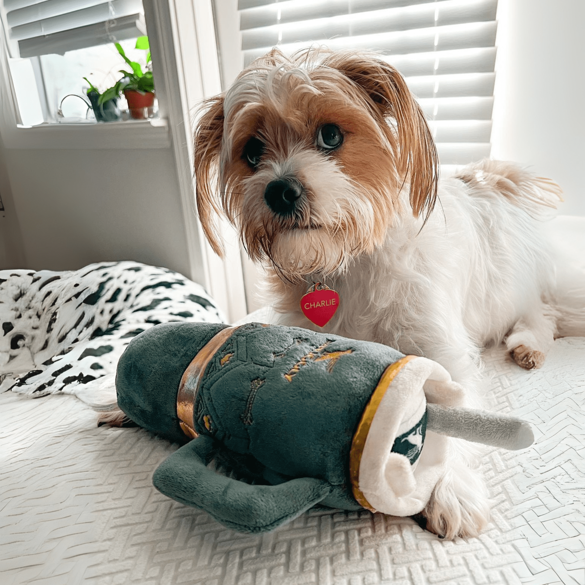 Haute Diggity Dog Snuggly Cup Plush Squeaky Bottle Dog Toy, Green, One Size