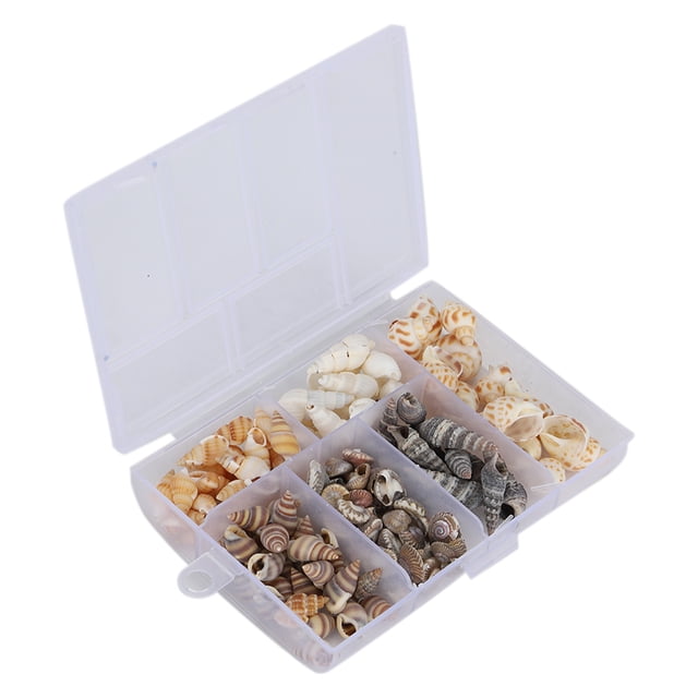 Concha marina conveniente para la operación Adornos de caracola de bricolaje seguros y ecológicos prácticos con caja de almacenamiento para el hogar para joyería de bricolaje ANGGREK Otros