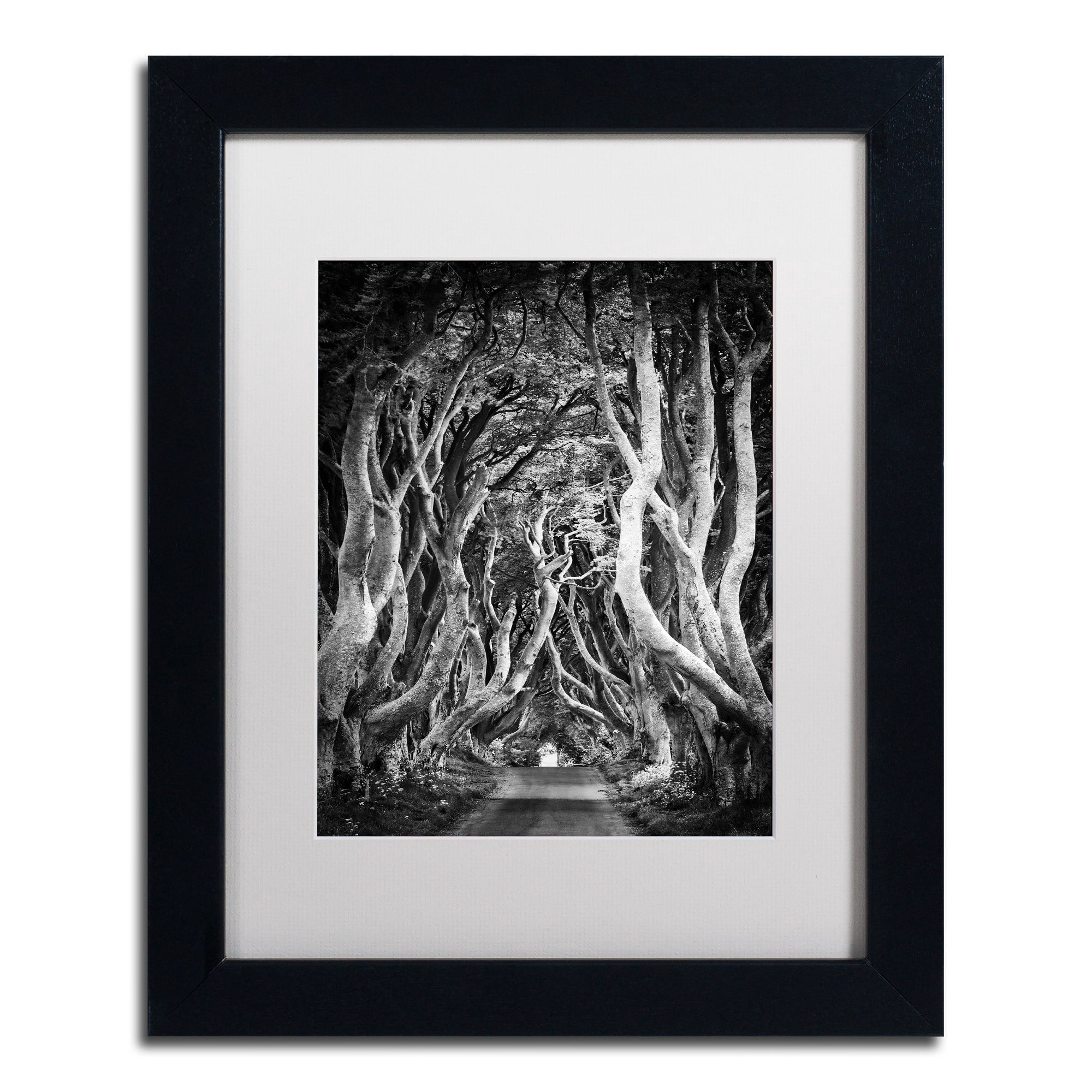 Trademark Fine Art "Zig Zag Nation" Canvas Art by Philippe Sainte-Laudy, White Matte, Black Frame