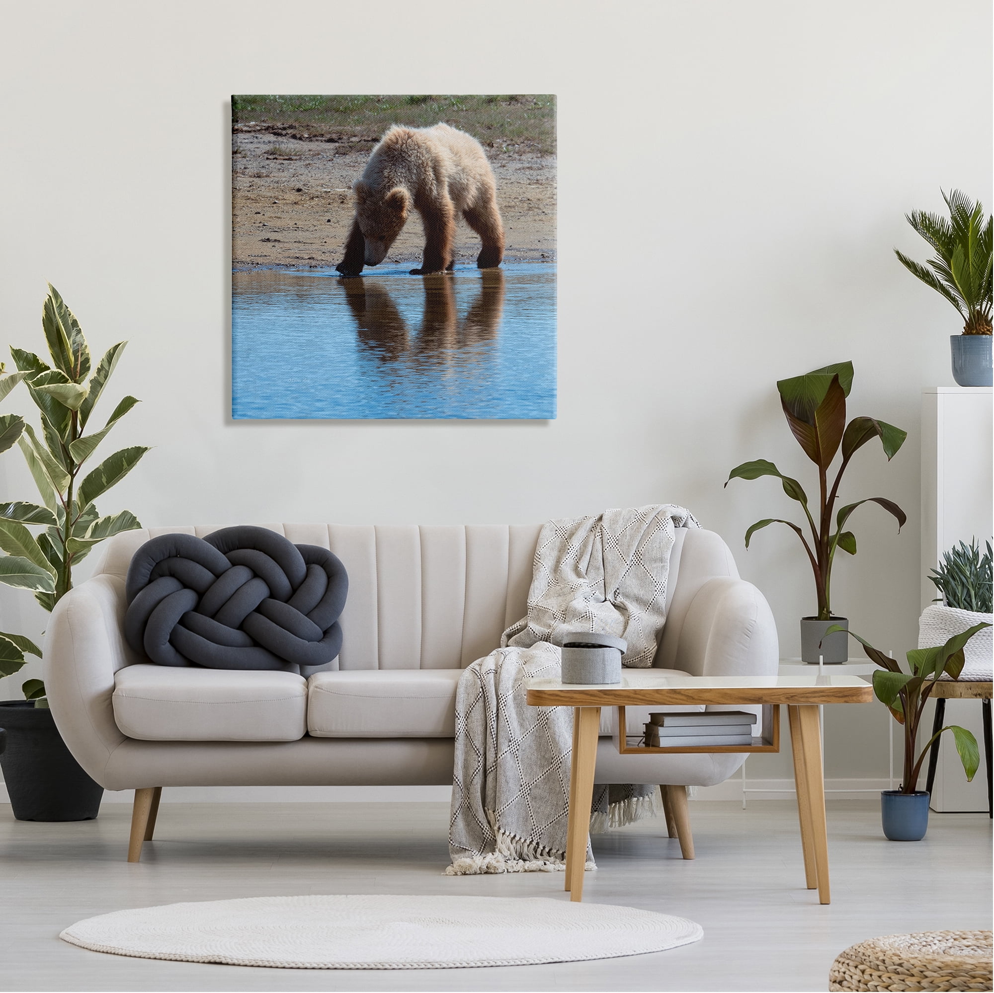 Stupell Industries Grizzly Cub in Stream Animals & Insects Photography Gallery Wrapped Canvas Print Wall Art, 30 x 30