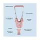 thumbnail image 2 of Arnés De Seguridad Para Caminar Respirable Bebes 6-36 Meses Rosa, 2 of 5