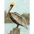thumbnail image 2 of Stellar Design Studio 19x24 Black Ornate Wood Framed with Double Matting Museum Art Print Titled - Brown Pelican 3, 2 of 4