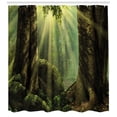 thumbnail image 3 of Ambesonne Forest Shower Curtain, Sunbeam Moss Tree Bodies, 69"Wx84"L, Olive and Army Green, 3 of 3