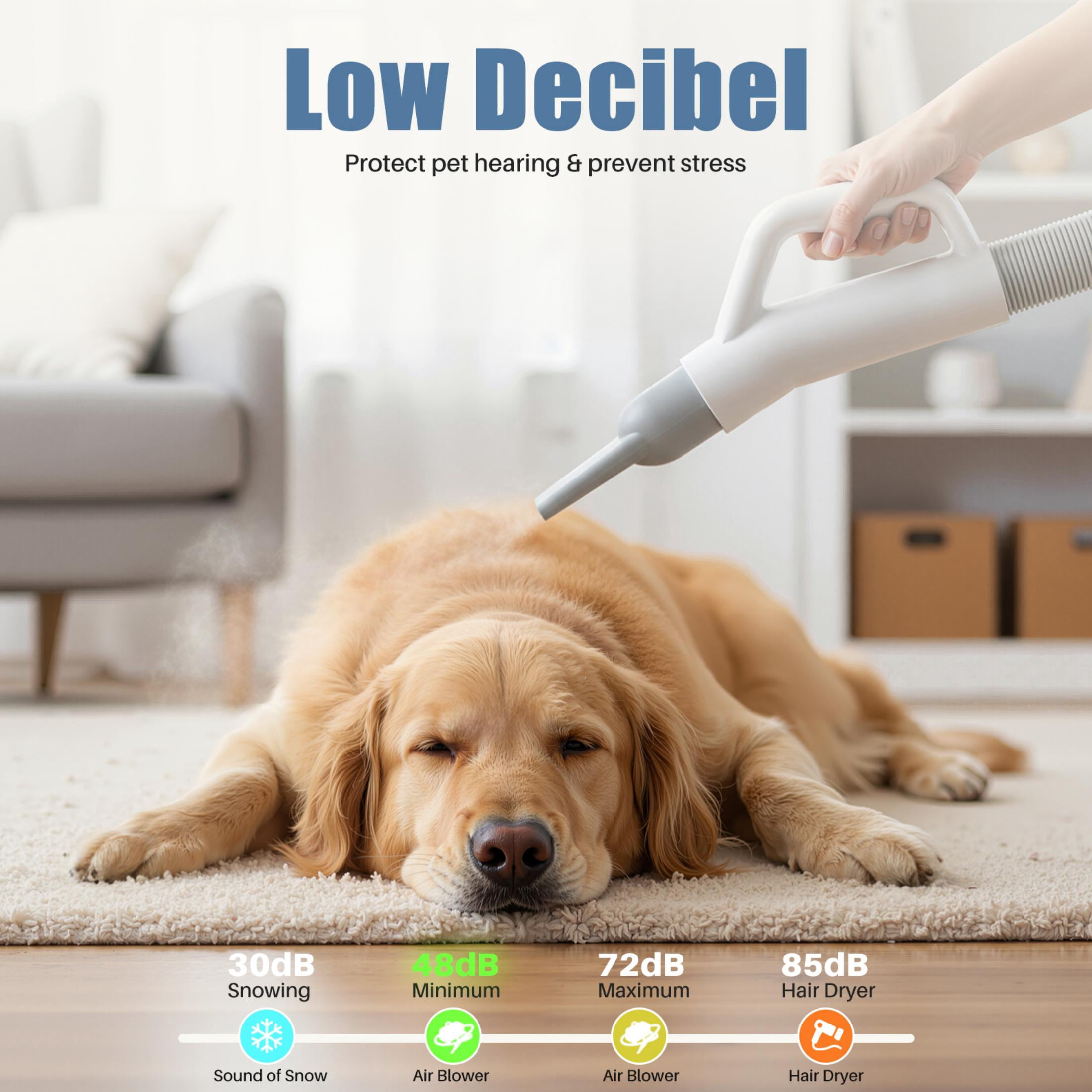 EDX Dog Blower Pet Hair Dryer with Adjustable Wind Speed & Heater Temperature, High Velocity Large Dog Hair Grooming Blower, 4 Nozzles, 6.5ft Cord for Dog Hair Force Blower, White