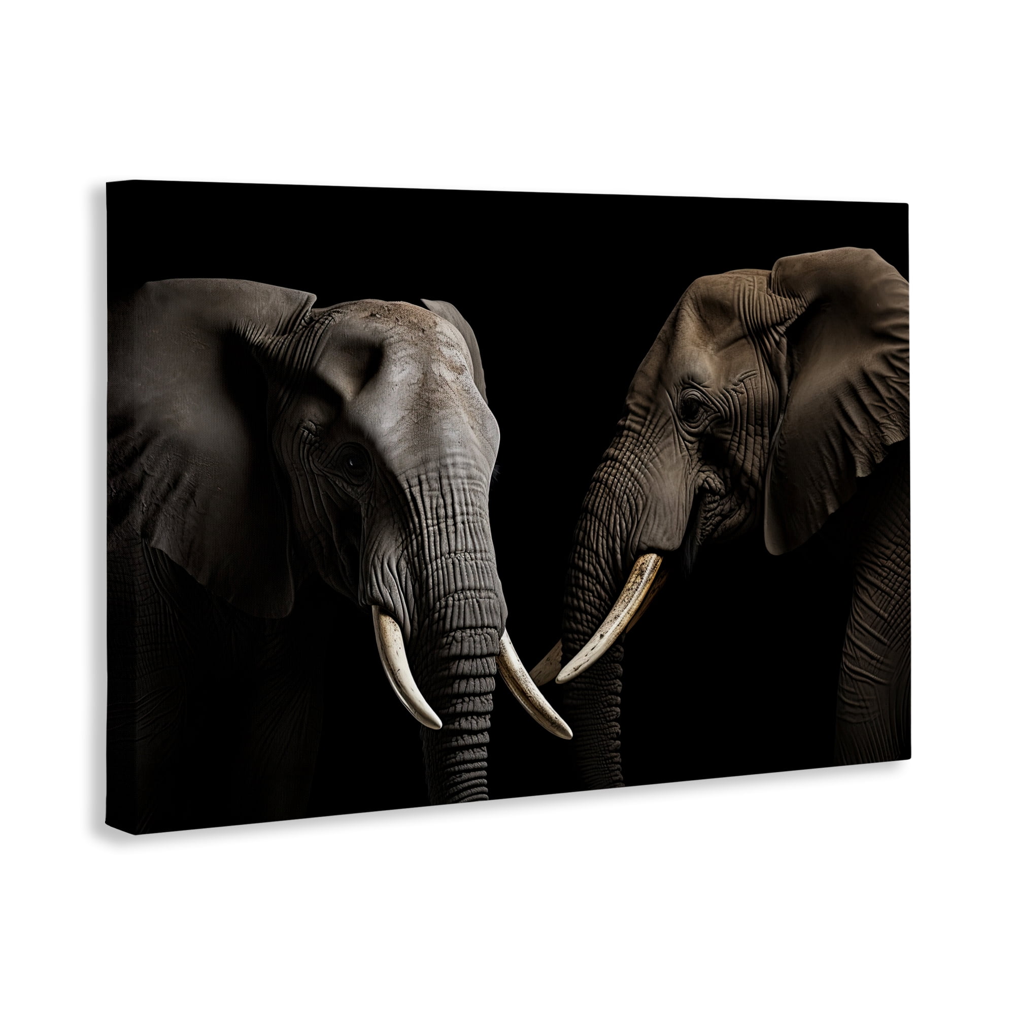Pachyderm Elephant Pair Canvas Wall Art, design by Decent Exposures