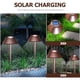 thumbnail image 5 of Lámpara solar para césped, luz decorativa para exteriores, para jardín, patio, pasarela, camino, 5 of 5