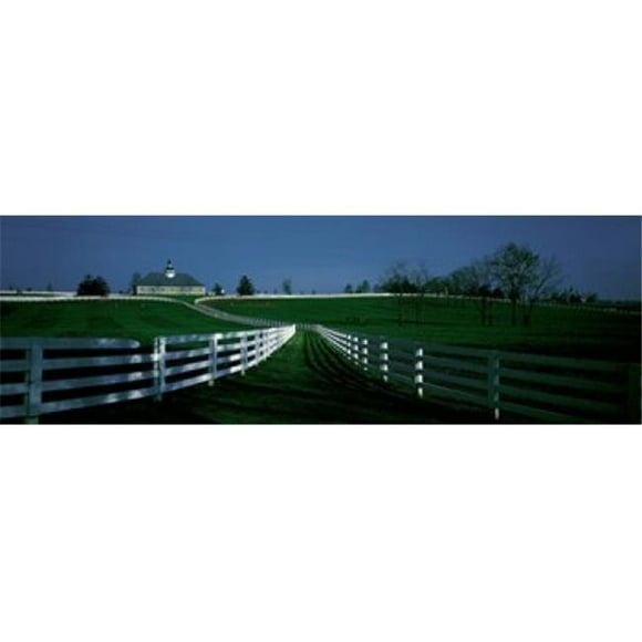 Panoramic Images PPI26317L Affiche Panoramic Images USA Kentucky Lexington Cheval Ferme Imprimé - 36 x 12
