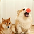 thumbnail image 4 of Interactive Dog Ball Toy, LED Lights, IP54 Waterproof, Rechargeable, Automatic Rolling Ball Toy for Indoor and Outdoor Use, 4 of 8