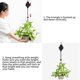 thumbnail image 5 of Paquete de 6 poleas retráctiles para colgar plantas, poleas para plantas, ruedas de altura ajustable para colgar plantas en interiores, color negro, 5 of 8