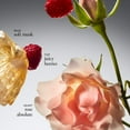 thumbnail image 3 of Perfume philosophy Amazing Grace Eau de Parfum Intense 10 ml, 3 of 7