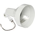 thumbnail image 1 of RAB Lighting H101W Landscape Bell Shaped H System Par Flood, PAR38 Type, Aluminum, 150W Power, White, 1 of 3