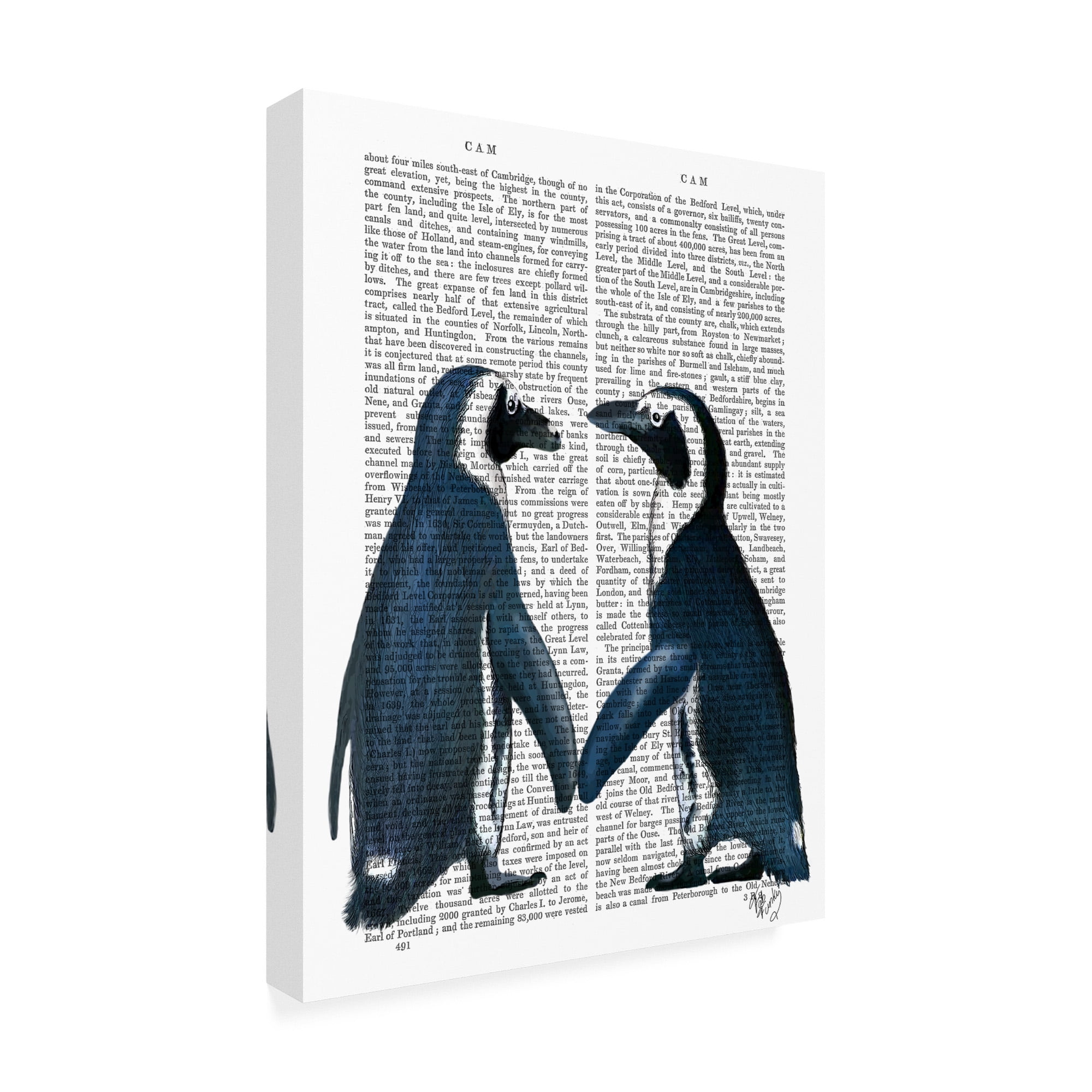 Trademark Fine Art 'Penguins in Love' Canvas Art by Fab Funky