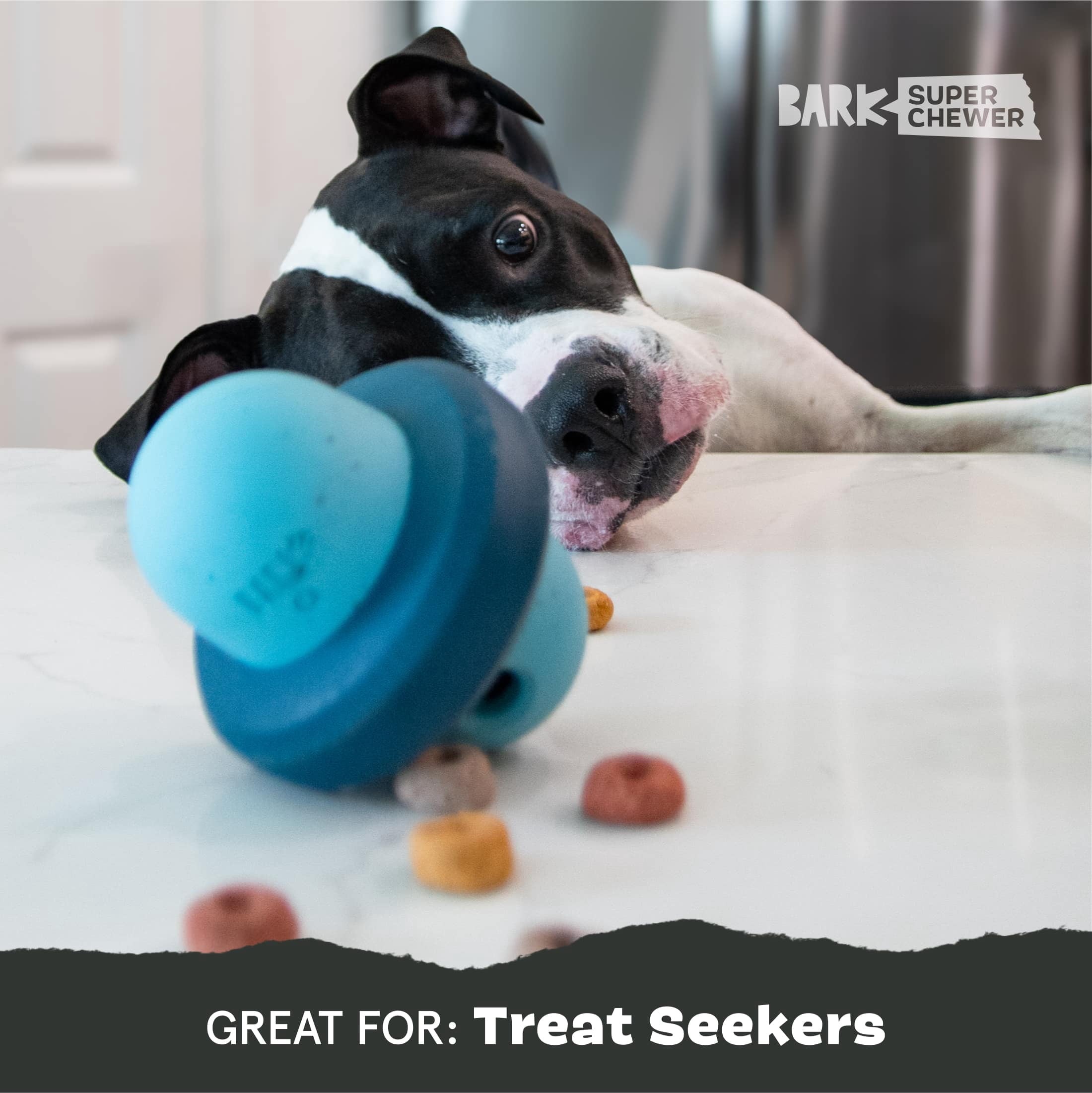BARK Pivot Rubber Super Chewer Dog Toy, Tough Chew, Medium Size, Blue