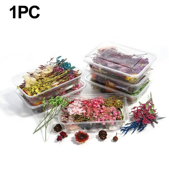 linyes Mix of Dried Flowers for Resin Making Candle Making and Unique Craft Projects