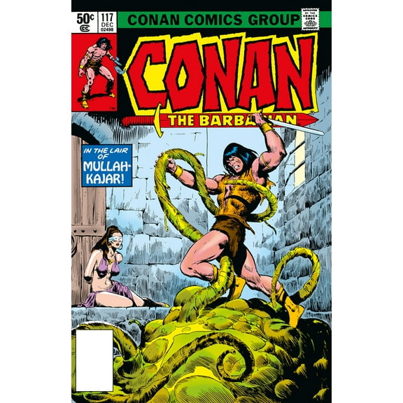 Conan the Barbarian Omnibus Conan the Barbarian: The Original Comics Omnibus Vol.5, (Hardcover)