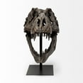thumbnail image 3 of Mercana Lagrane Metal Replica Dinosaur Tyrannosaurus Black/Brass T-Rex Skull, 3 of 9