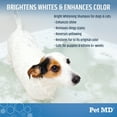 thumbnail image 3 of Pet MD Bright Whitening Shampoo for Dogs & Cats, Fresh Scent, 12 oz Bottle, 3 of 8