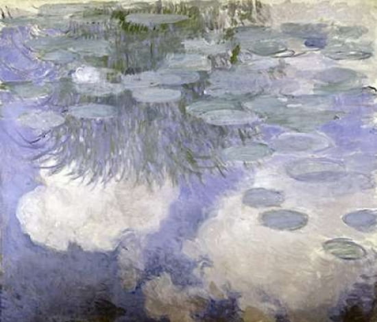 Water Lilies - Nymp