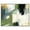 Silver Frame, variant on Moss Layers I Canvas Abstract Wall Decor by Art Remedy, Gallery Wrapped, 20 x 16