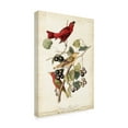 thumbnail image 2 of Trademark Fine Art 'Summer Red Bird' Canvas Art by John James Audubon, 2 of 4