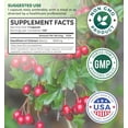Healths Harmony Hawthorn Berry 41 Extract (120 Capsules) Supports