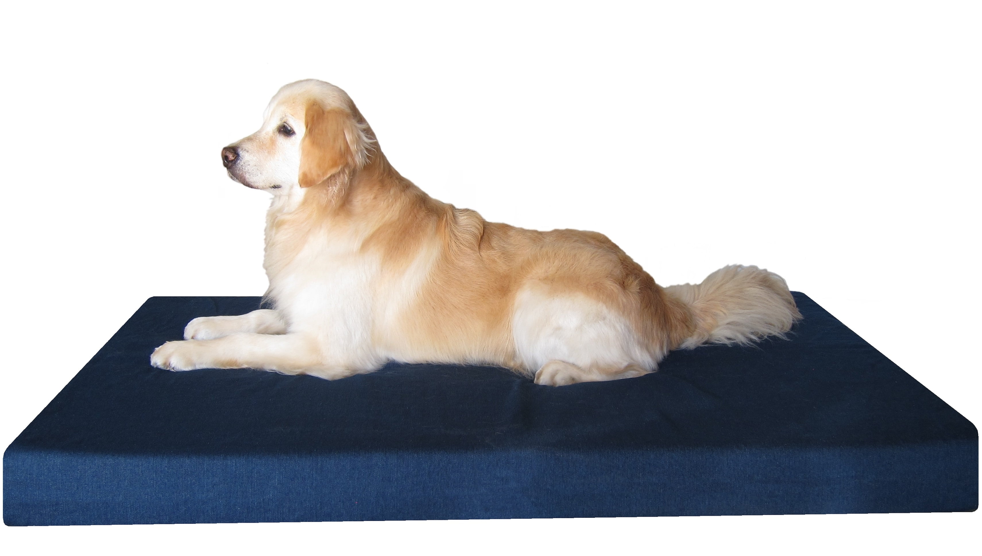 cheap dog beds for large breeds