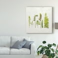 thumbnail image 3 of Trademark Fine Art 'Flat Lay Ferns IV' Canvas Art by Felicity Bradley, 3 of 4