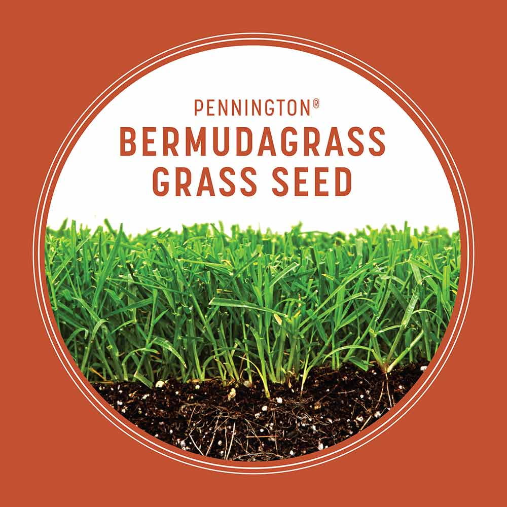 Straw for grass seed menards hotsell