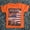 Orange, variant on Wear Sierra Toddler & Kids Crew Neck Cotton T-Shirts, Orange Color, Soft Cotton, Ages 2-3 Years