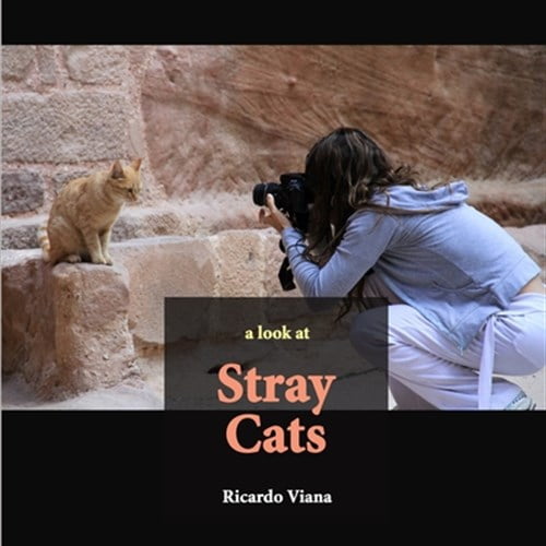 Pre-Owned Stray cats: a look at