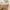 Flaxen, variant on Faux Linen Oval Tablecloth Heavy Duty Wrinkle Resistant Fabric Table Cloths 60 x 84 Inch Beige Farmhouse Rustic Table Cover for Kitchen Dining Indoor Outdoor Tabletop Decoration