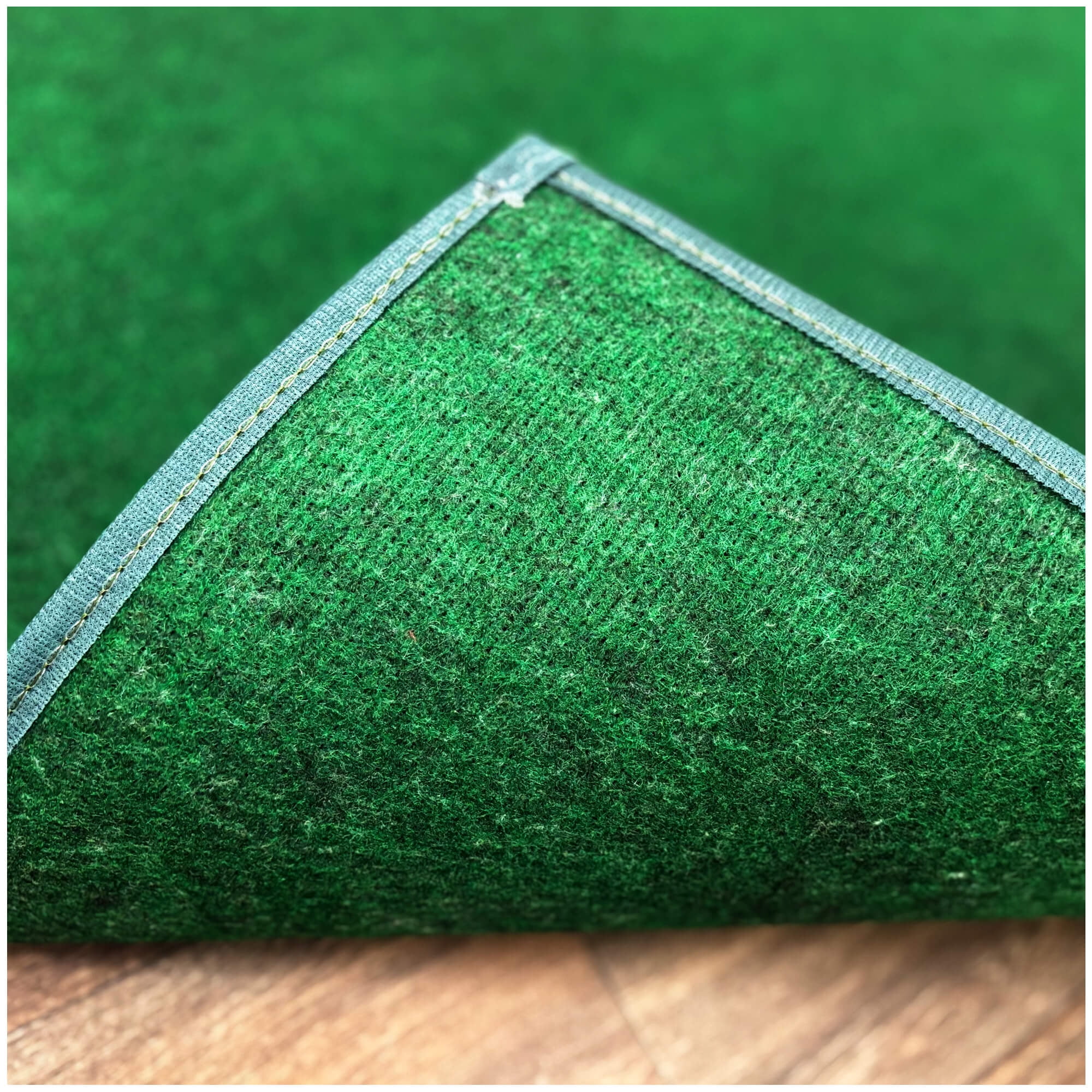 Koeckritz Rugs Emerald Green Indoor/Outdoor Area Rug, 7'x14', Lightweight & Durable