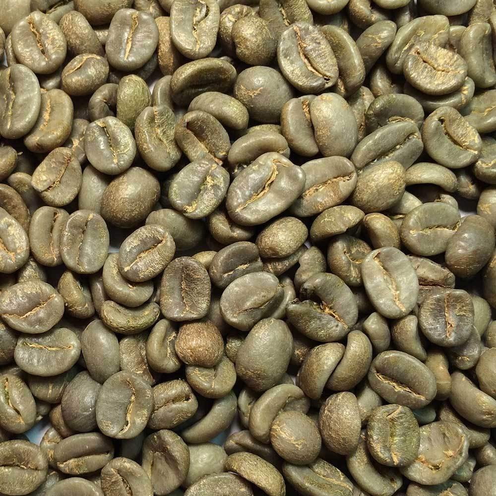 Fresh Roasted Coffee LLC, Green Unroasted Costa Rica Tarrazu Coffee