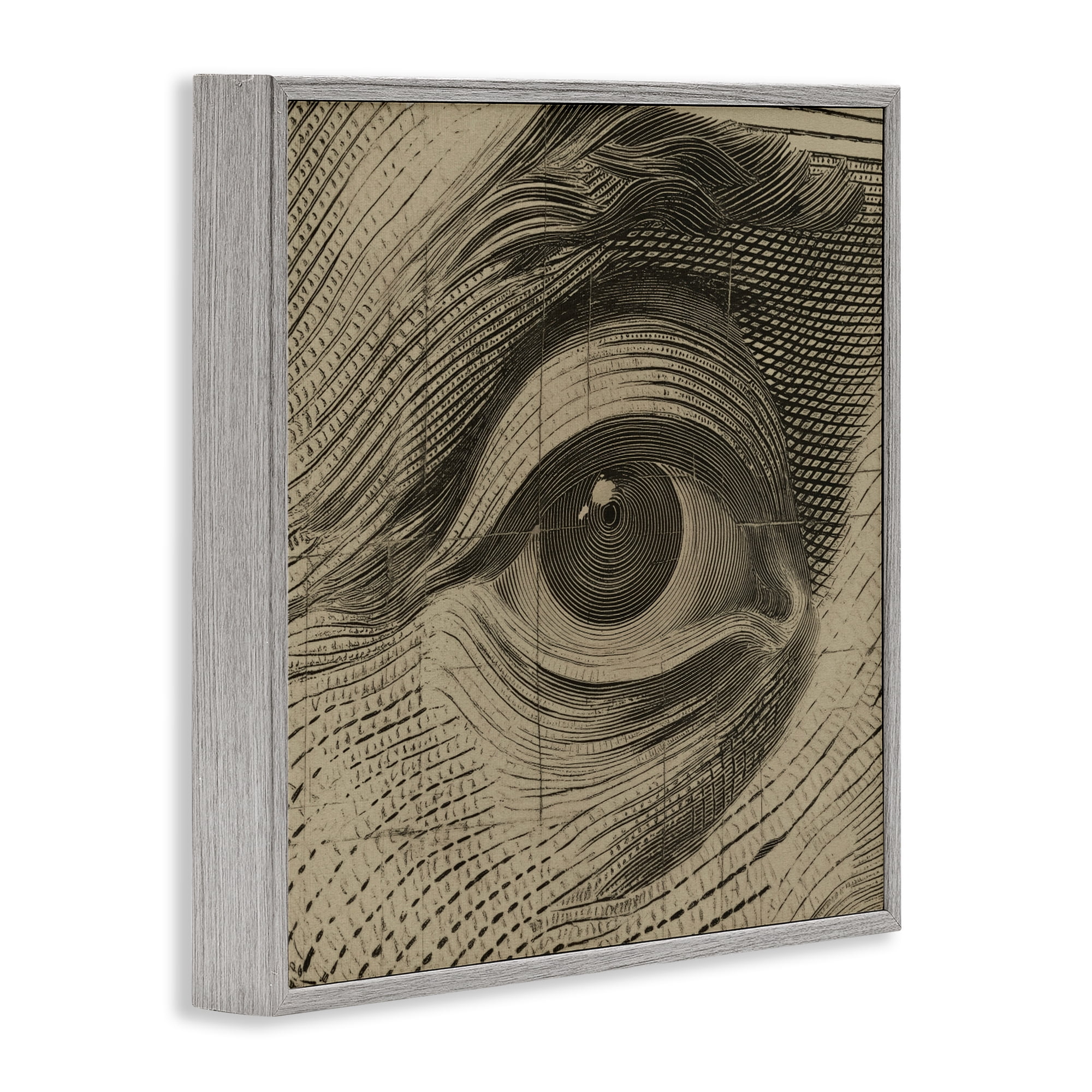 Stupell Industries Franklin's Gaze Eye Gray Framed Giclee Art, design by Svetlana Aleynikova