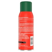KIWI Camp Dry Heavy Duty Water Repellant, 10.5 oz