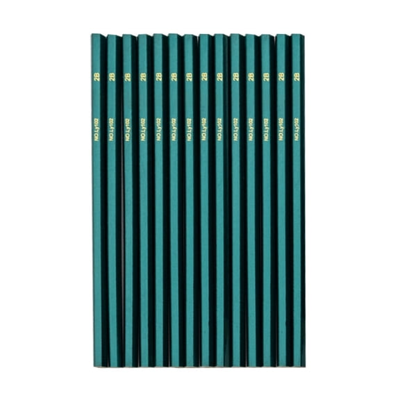 chaungfeng Graphic Sketching Drawing Pencils 12 Count, Pencils Set for Exam and Handwriting Sketching