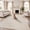 Light Beige, variant on 5'x7' Area Rugs for Living Room Fluffy Rug for Bedroom Washable Non Slip Modern Dining Room Rug Soft Carpets For Bedrooms, Home Decor Aesthetic