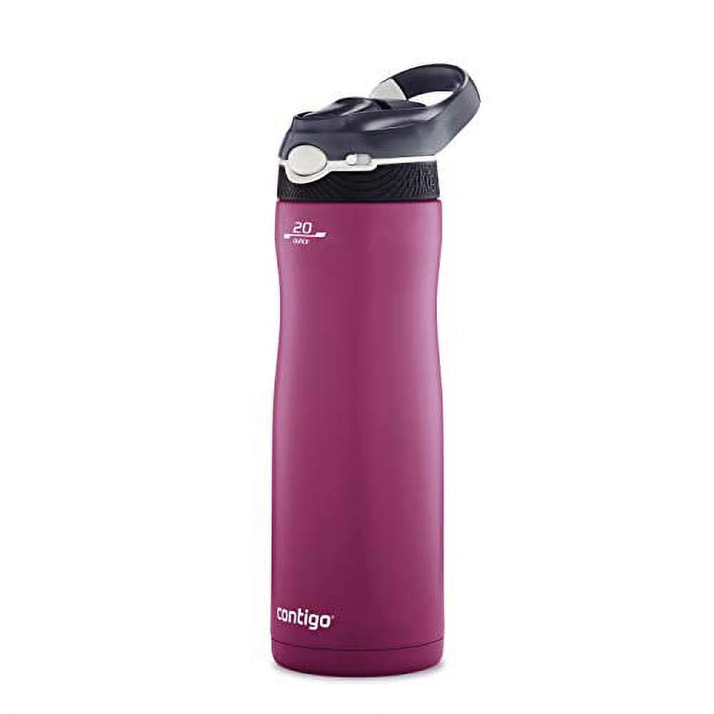 Contigo Ashland Chill 20 oz Silver and Gray Solid Print Stainless Steel  Water Bottle with Straw and Wide Mouth Lid 