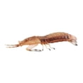 thumbnail image 3 of Modelo educativo de animales marinos perfke gamba 44g Figuras Marinas, 3 of 9