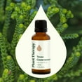 thumbnail image 3 of Plant Therapy Texas Cedarwood Essential Oil 30 mL (1 oz) 100% Pure, Undiluted, Natural Aromatherapy, 3 of 8