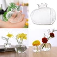 thumbnail image 3 of Jarrón de vidrio transparente con pequeña, plantas , L Zulema Jarrones de flores, 3 of 8