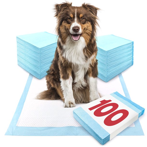 ValuePad Puppy Pads, Large 28x30 Inch, 100 Count