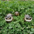thumbnail image 3 of YongCo Smiling African Rain Frogs Resins Miniature Sculpture Home Garden Decors Gift, 3 of 16