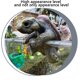 thumbnail image 4 of Tortoise Figurine Estatua Borde Decorativo La Plantadora para Jarrones Pescado, 4 of 5