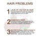 thumbnail image 1 of Champú para oscurecer el cabello Jabón Extracto de plantas naturales Esencia Jabón de fórmula suave Ndcxsfigh Cuidado Belleza, 1 of 6