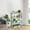 Blue, variant on Bathroom Organizer Shelf 4 Tier Countertop Storage Rack Multi Layer Stand for Shampoo and Shower Gel - Plastic Stackable Shelving Unit for Kitchen Living Room Desk Organization