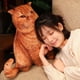 thumbnail image 3 of Cojín de gato de la vida Real, almohada de felpa de gato vivo, Animal de peluche simulado, juguete de felpa, dormitorio, sofá, decoración, 50CM, 3 of 5