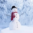 thumbnail image 4 of Snowman Kit Toy Wide Variety Snowman Dress Up Set Exquisite Workmanship Snowman Decorating Accessory Bright Color for Christmas Decor Outdoor, 4 of 10